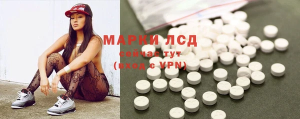 шишки Алзамай