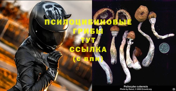 мяу мяу мука Алексеевка