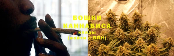 шишки Алзамай
