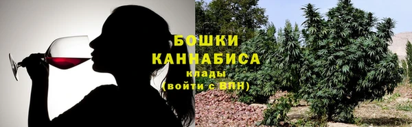 шишки Михайлов