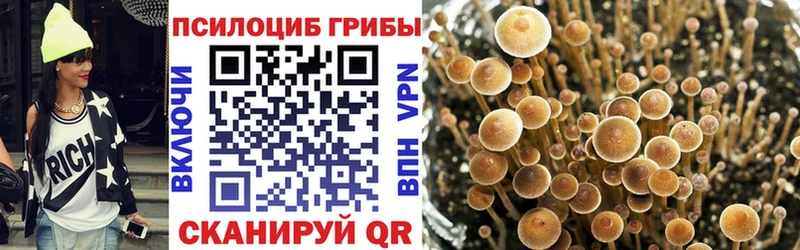 Псилоцибиновые грибы Psilocybine cubensis  Рубцовск 